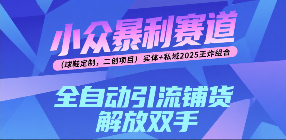 楠—小众暴利赛道（球鞋定制，二创项目）实体+私域2025王炸组合_北创网