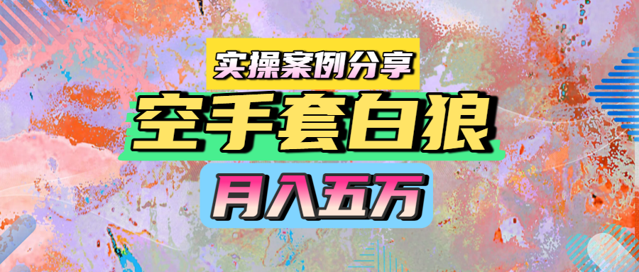 空手套白狼，月入五万，实操案例分享_北创网