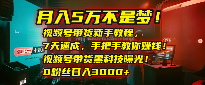 月入5万不是梦！视频号带货新手教程，7天速成，手把手教你赚钱！视频号带货黑科技曝光！0粉丝日入3000+_北创网