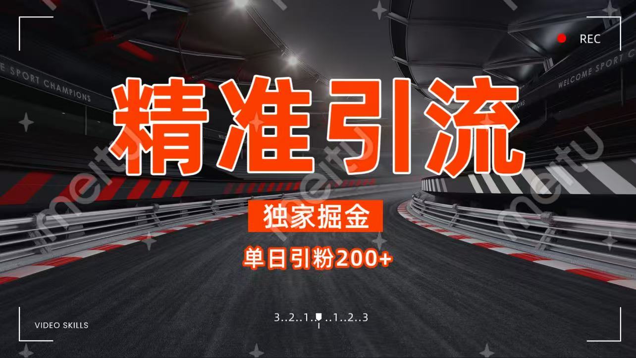 独家野路子精准引流 每日200+_北创网