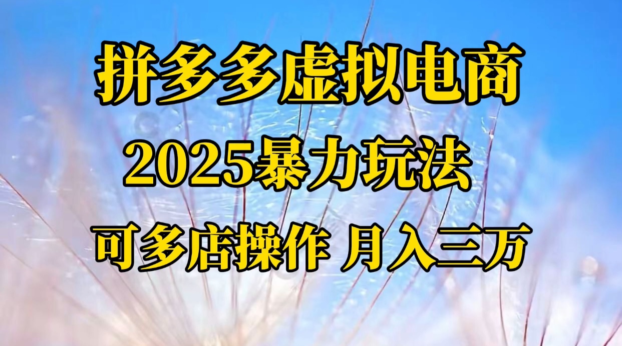 拼多多虚拟电商，不囤货不垫资的虚拟电商_北创网