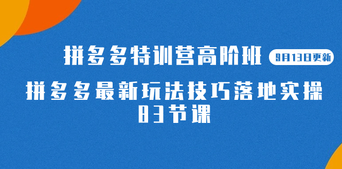 2023拼多多·特训营高阶班【9月13日更新】拼多多最新玩法技巧落地实操-83节_北创网