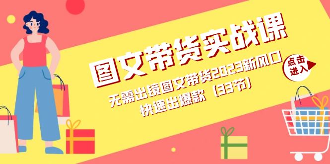 图文带货实战课：无需出镜图文带货2023新风口，快速出爆款（33节）_北创网