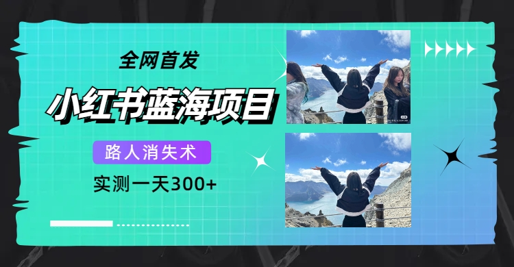 全网首发，小红书蓝海项目，路人消失术，实测一天300 （教程 工具）_北创网