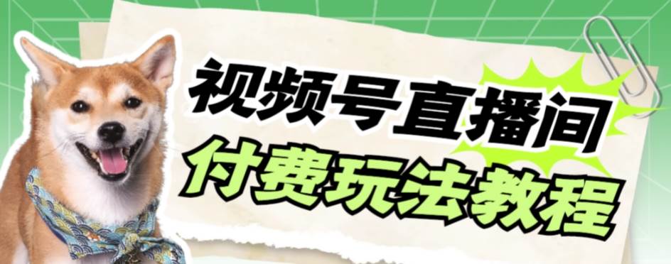 视频号美女付费无人直播，轻松日入500 【详细玩_北创网