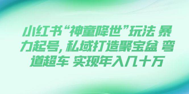 小红书“神童降世”玩法 暴力起号,私域打造聚宝盆 弯道超车 实现年入几十万_北创网