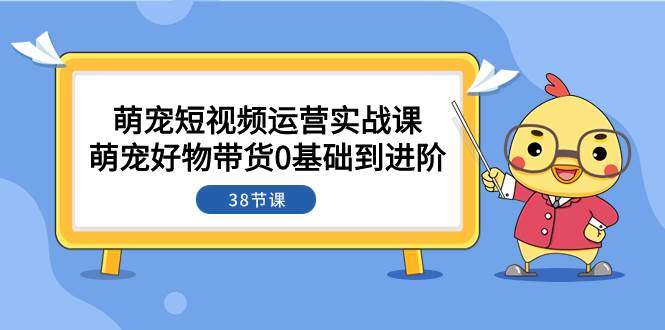 萌宠·短视频运营实战课：萌宠好物带货0基础到进阶（38节课）_北创网