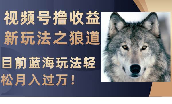 视频号撸收益新玩法之狼道，目前蓝海玩法轻松月入过万！_北创网