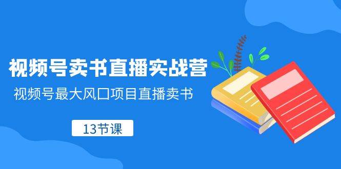 视频号-卖书直播实战营，视频号最大风囗项目直播卖书（13节课）_北创网