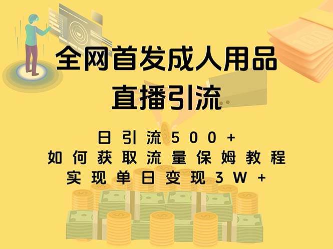 最新全网独创首发，成人用品直播引流获客暴力玩法，单日变现3w保姆级教程_北创网
